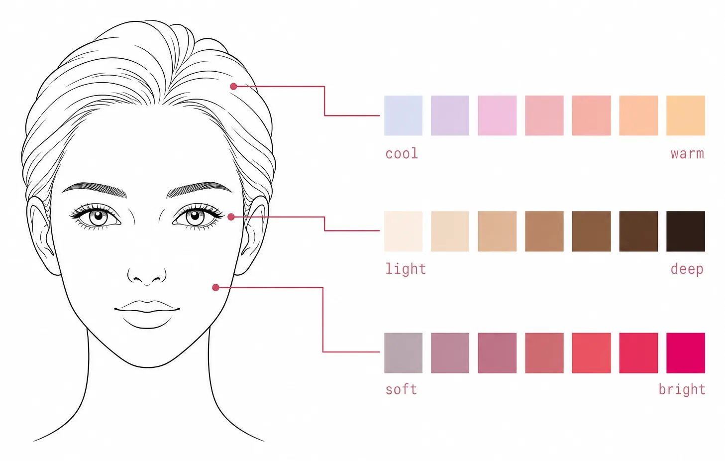 Line drawing of a face connected to three color scales: cool to warm, light to deep, soft to bright