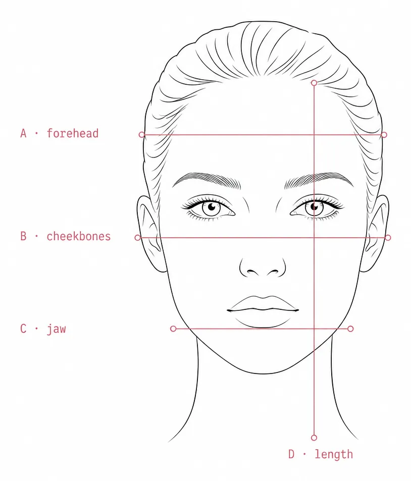 Front-view face diagram with four measurement lines: A forehead, B cheekbones, C jaw and D face length